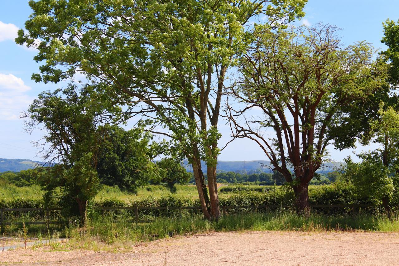 South Cottage - Rural Gem In The Heart Of The Sussex Countryside Twineham Luaran gambar